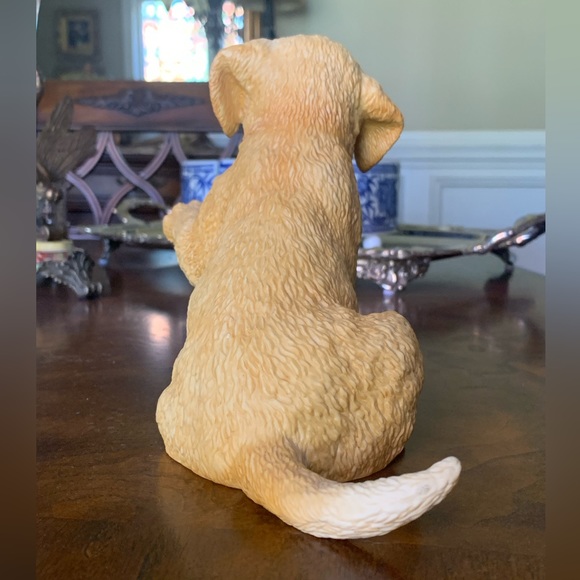 Lenox Yellow Labrador Retriever - Picture 10 of 14